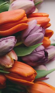 Preview wallpaper tulips, bouquet, buds