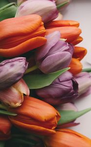 Preview wallpaper tulips, bouquet, buds