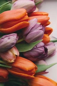 Preview wallpaper tulips, bouquet, buds