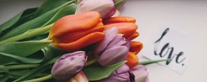 Preview wallpaper tulips, bouquet, buds