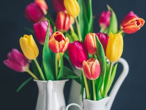 Preview wallpaper tulips, bouquet, colorful
