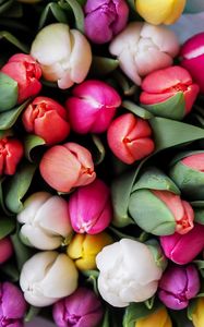 Preview wallpaper tulips, bouquet, flowers