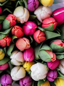 Preview wallpaper tulips, bouquet, flowers