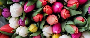 Preview wallpaper tulips, bouquet, flowers