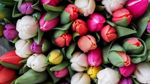 Preview wallpaper tulips, bouquet, flowers