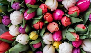 Preview wallpaper tulips, bouquet, flowers