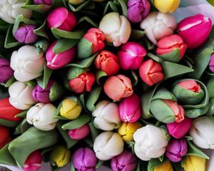 Preview wallpaper tulips, bouquet, flowers