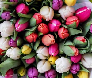 Preview wallpaper tulips, bouquet, flowers