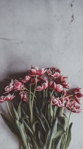 Preview wallpaper tulips, bouquet, flowers, buds, stems