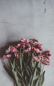 Preview wallpaper tulips, bouquet, flowers, buds, stems