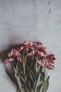 Preview wallpaper tulips, bouquet, flowers, buds, stems