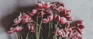 Preview wallpaper tulips, bouquet, flowers, buds, stems