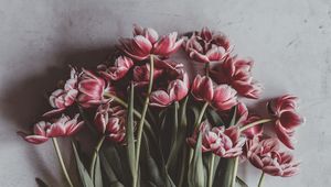 Preview wallpaper tulips, bouquet, flowers, buds, stems