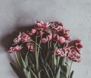 Preview wallpaper tulips, bouquet, flowers, buds, stems