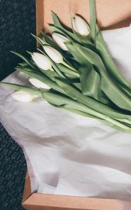 Preview wallpaper tulips, bouquet, packing