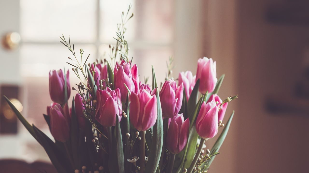 Wallpaper tulips, bouquet, pink, leaves, blur