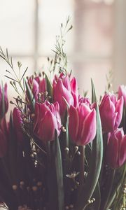 Preview wallpaper tulips, bouquet, pink, leaves, blur