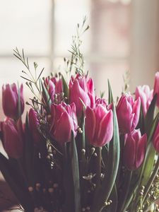 Preview wallpaper tulips, bouquet, pink, leaves, blur