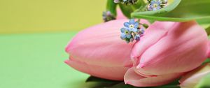 Preview wallpaper tulips, bouquet, pink