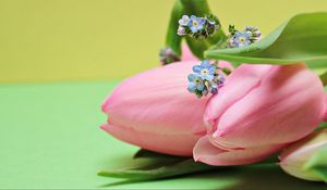 Preview wallpaper tulips, bouquet, pink