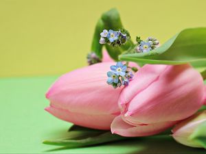 Preview wallpaper tulips, bouquet, pink