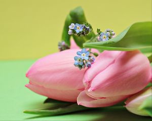 Preview wallpaper tulips, bouquet, pink