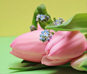Preview wallpaper tulips, bouquet, pink