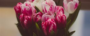 Preview wallpaper tulips, bouquet, tender