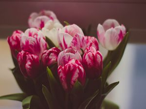 Preview wallpaper tulips, bouquet, tender