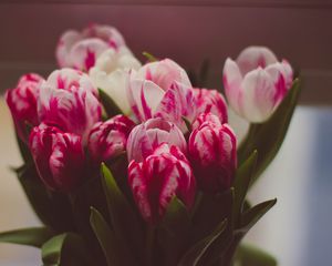 Preview wallpaper tulips, bouquet, tender