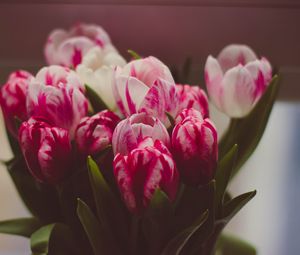 Preview wallpaper tulips, bouquet, tender