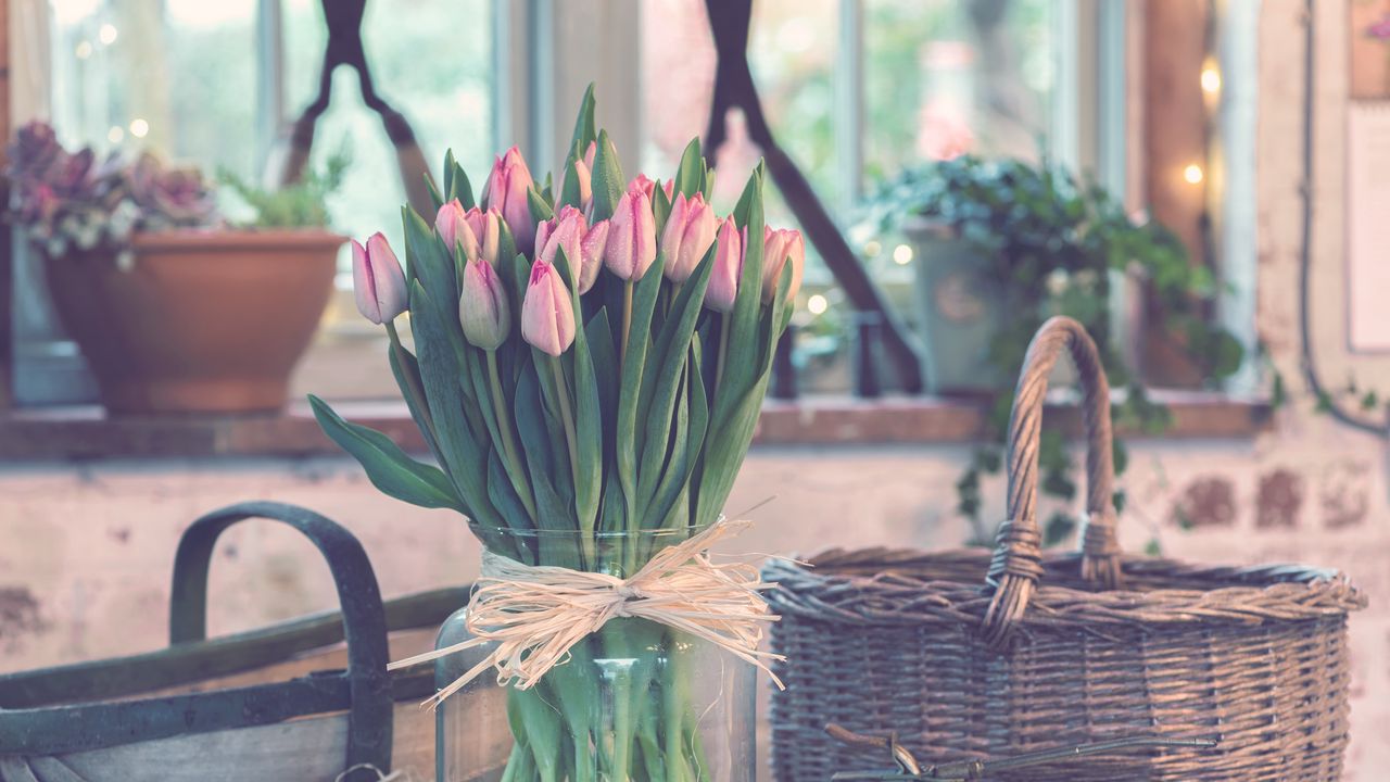 Wallpaper tulips, bouquet, vase