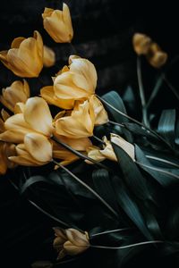Preview wallpaper tulips, bouquet, yellow, flowers