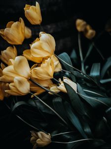 Preview wallpaper tulips, bouquet, yellow, flowers