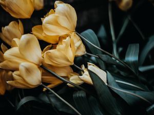 Preview wallpaper tulips, bouquet, yellow, flowers