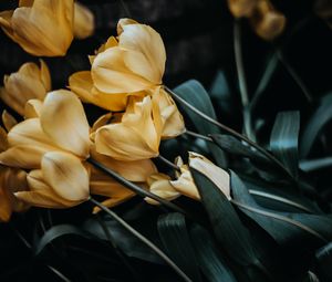 Preview wallpaper tulips, bouquet, yellow, flowers