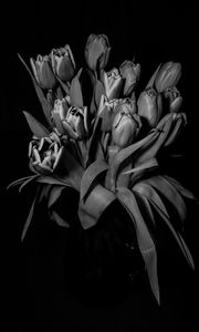 Preview wallpaper tulips, bw, bouquet