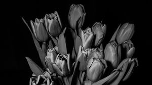 Preview wallpaper tulips, bw, bouquet