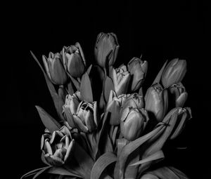 Preview wallpaper tulips, bw, bouquet