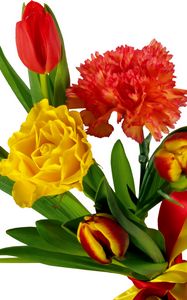 Preview wallpaper tulips, carnations, ribbon, bouquet, bow