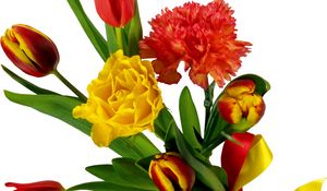 Preview wallpaper tulips, carnations, ribbon, bouquet, bow