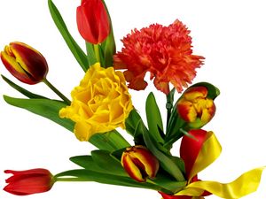 Preview wallpaper tulips, carnations, ribbon, bouquet, bow