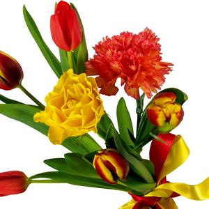 Preview wallpaper tulips, carnations, ribbon, bouquet, bow