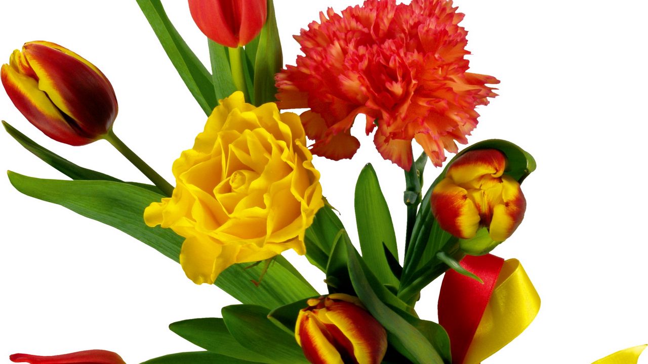 Wallpaper tulips, carnations, ribbon, bouquet, bow hd, picture, image