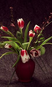 Preview wallpaper tulips, colorful, flowers, vase, flower, song