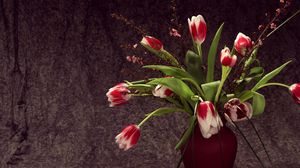 Preview wallpaper tulips, colorful, flowers, vase, flower, song
