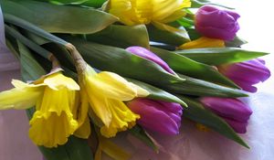 Preview wallpaper tulips, daffodils, flowers, bouquet, tablecloth