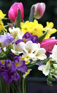 Preview wallpaper tulips, daffodils, freesia, bouquet, flowers, vase