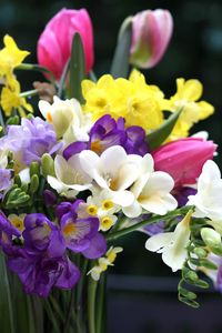 Preview wallpaper tulips, daffodils, freesia, bouquet, flowers, vase