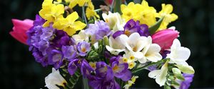 Preview wallpaper tulips, daffodils, freesia, bouquet, flowers, vase